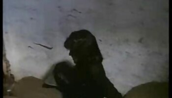 Hottie da Mosca ha video di casalinghe porche un casting anale hardcore